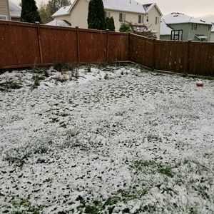 Meet your Posher, Nermine